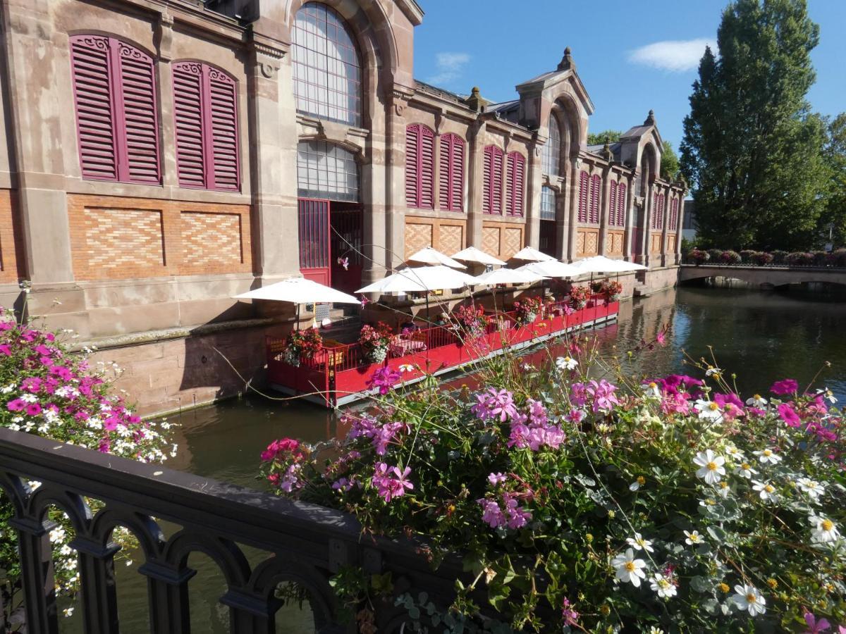 Gite Les Combles Du Bonheur Colmar Exterior photo